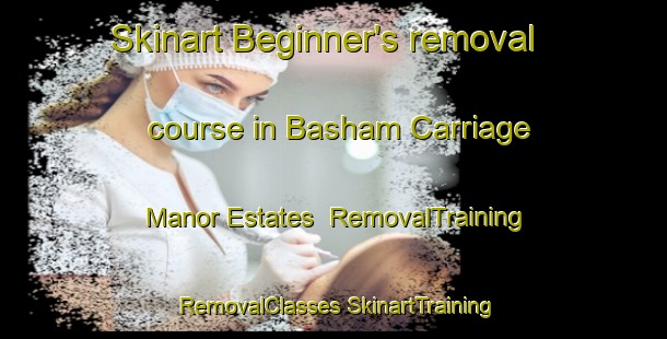 Skinart Beginner's removal course in Basham Carriage Manor Estates | #RemovalTraining #RemovalClasses #SkinartTraining-United States