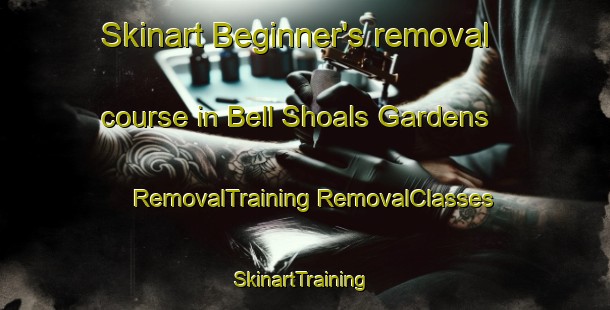 Skinart Beginner's removal course in Bell Shoals Gardens | #RemovalTraining #RemovalClasses #SkinartTraining-United States