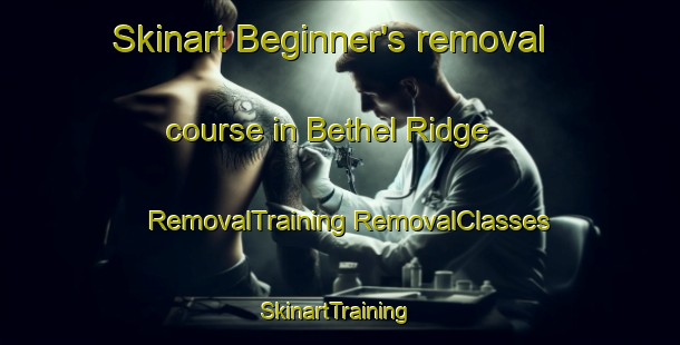 Skinart Beginner's removal course in Bethel Ridge | #RemovalTraining #RemovalClasses #SkinartTraining-United States