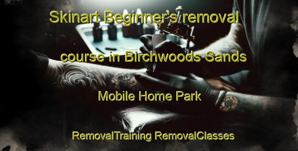 Skinart Beginner's removal course in Birchwoods Sands Mobile Home Park | #RemovalTraining #RemovalClasses #SkinartTraining-United States