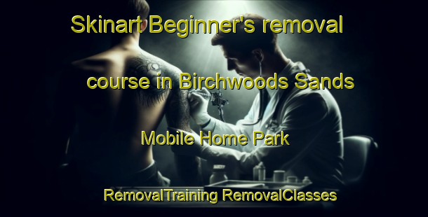 Skinart Beginner's removal course in Birchwoods Sands Mobile Home Park | #RemovalTraining #RemovalClasses #SkinartTraining-United States