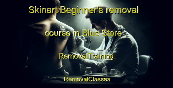 Skinart Beginner's removal course in Blue Store | RemovalTraining | RemovalClasses | SkinartTraining-United States