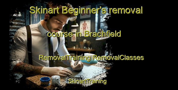 Skinart Beginner's removal course in Brachfield | #RemovalTraining #RemovalClasses #SkinartTraining-United States