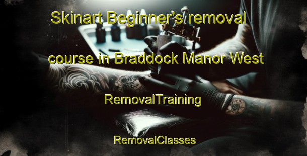 Skinart Beginner's removal course in Braddock Manor West | RemovalTraining | RemovalClasses | SkinartTraining-United States