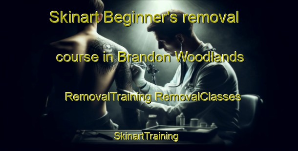 Skinart Beginner's removal course in Brandon Woodlands | #RemovalTraining #RemovalClasses #SkinartTraining-United States