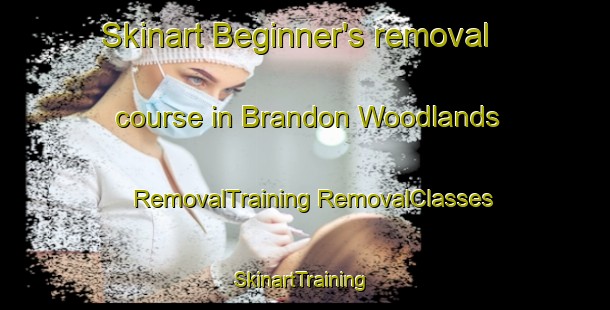 Skinart Beginner's removal course in Brandon Woodlands | #RemovalTraining #RemovalClasses #SkinartTraining-United States