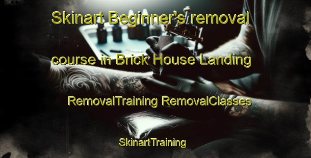 Skinart Beginner's removal course in Brick House Landing | #RemovalTraining #RemovalClasses #SkinartTraining-United States