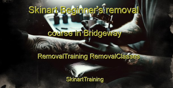 Skinart Beginner's removal course in Bridgeway | #RemovalTraining #RemovalClasses #SkinartTraining-United States