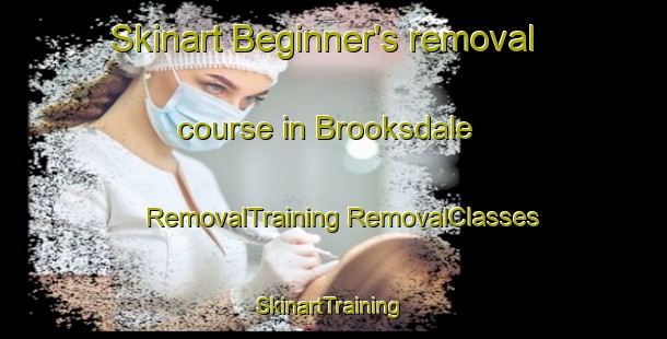 Skinart Beginner's removal course in Brooksdale | #RemovalTraining #RemovalClasses #SkinartTraining-United States