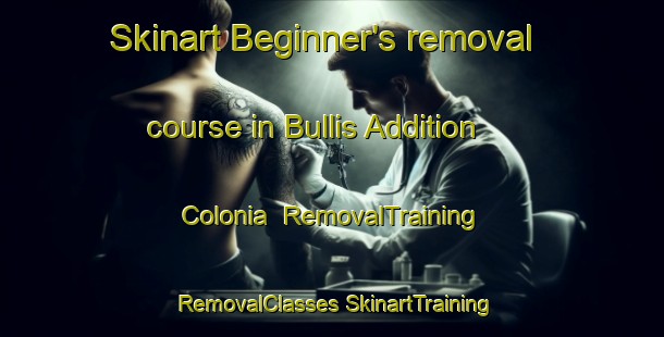 Skinart Beginner's removal course in Bullis Addition Colonia | #RemovalTraining #RemovalClasses #SkinartTraining-United States