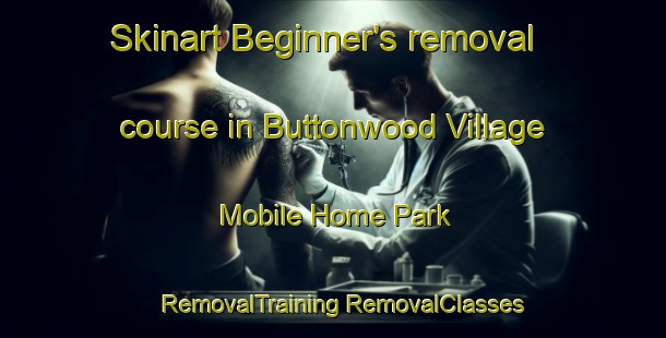 Skinart Beginner's removal course in Buttonwood Village Mobile Home Park | #RemovalTraining #RemovalClasses #SkinartTraining-United States