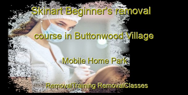 Skinart Beginner's removal course in Buttonwood Village Mobile Home Park | #RemovalTraining #RemovalClasses #SkinartTraining-United States