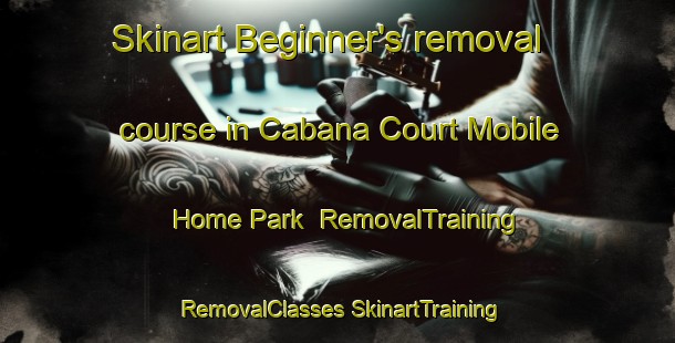 Skinart Beginner's removal course in Cabana Court Mobile Home Park | #RemovalTraining #RemovalClasses #SkinartTraining-United States