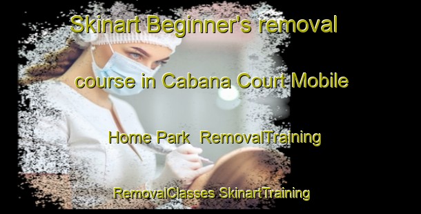 Skinart Beginner's removal course in Cabana Court Mobile Home Park | #RemovalTraining #RemovalClasses #SkinartTraining-United States