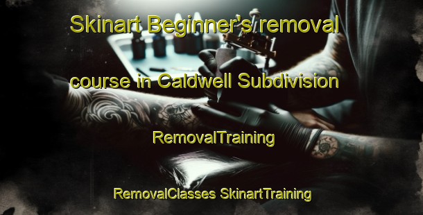 Skinart Beginner's removal course in Caldwell Subdivision | #RemovalTraining #RemovalClasses #SkinartTraining-United States