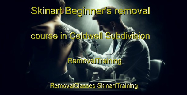 Skinart Beginner's removal course in Caldwell Subdivision | #RemovalTraining #RemovalClasses #SkinartTraining-United States