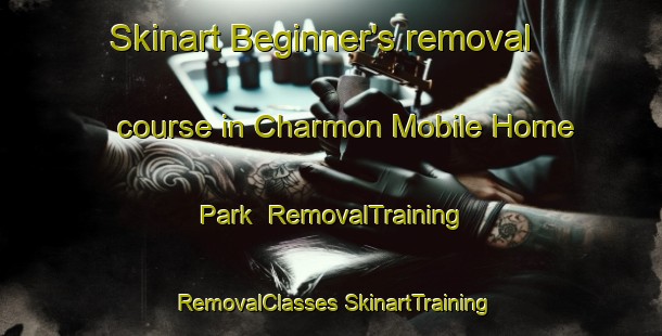 Skinart Beginner's removal course in Charmon Mobile Home Park | #RemovalTraining #RemovalClasses #SkinartTraining-United States