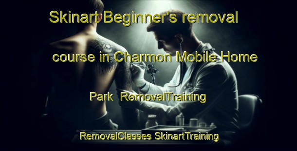 Skinart Beginner's removal course in Charmon Mobile Home Park | #RemovalTraining #RemovalClasses #SkinartTraining-United States