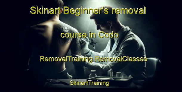 Skinart Beginner's removal course in Codo | #RemovalTraining #RemovalClasses #SkinartTraining-United States