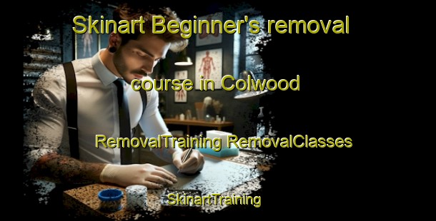 Skinart Beginner's removal course in Colwood | #RemovalTraining #RemovalClasses #SkinartTraining-United States