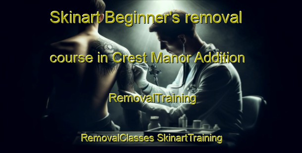 Skinart Beginner's removal course in Crest Manor Addition | #RemovalTraining #RemovalClasses #SkinartTraining-United States