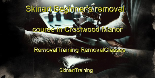 Skinart Beginner's removal course in Crestwood Manor | #RemovalTraining #RemovalClasses #SkinartTraining-United States