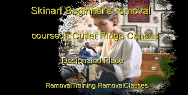 Skinart Beginner's removal course in Cutler Ridge Census Designated Place | #RemovalTraining #RemovalClasses #SkinartTraining-United States