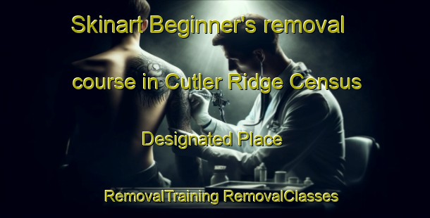 Skinart Beginner's removal course in Cutler Ridge Census Designated Place | #RemovalTraining #RemovalClasses #SkinartTraining-United States