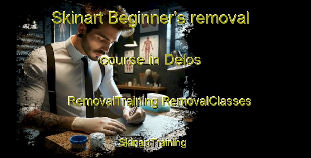 Skinart Beginner's removal course in Delos | #RemovalTraining #RemovalClasses #SkinartTraining-United States