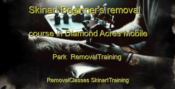 Skinart Beginner's removal course in Diamond Acres Mobile Park | #RemovalTraining #RemovalClasses #SkinartTraining-United States