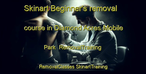 Skinart Beginner's removal course in Diamond Acres Mobile Park | #RemovalTraining #RemovalClasses #SkinartTraining-United States