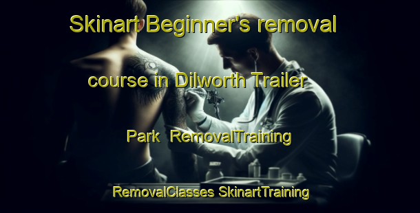 Skinart Beginner's removal course in Dilworth Trailer Park | #RemovalTraining #RemovalClasses #SkinartTraining-United States