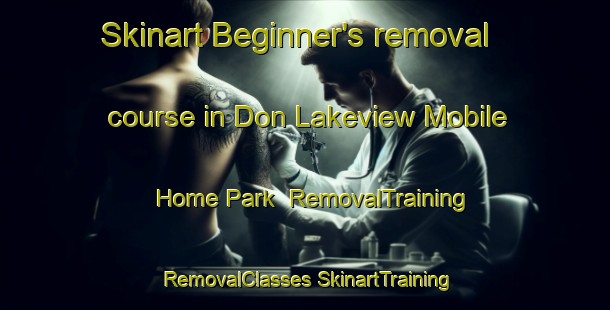 Skinart Beginner's removal course in Don Lakeview Mobile Home Park | #RemovalTraining #RemovalClasses #SkinartTraining-United States