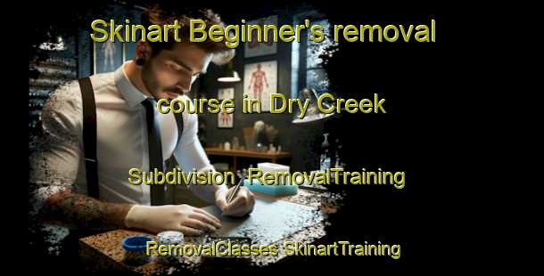 Skinart Beginner's removal course in Dry Creek Subdivision | #RemovalTraining #RemovalClasses #SkinartTraining-United States