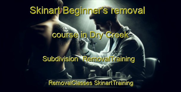 Skinart Beginner's removal course in Dry Creek Subdivision | #RemovalTraining #RemovalClasses #SkinartTraining-United States