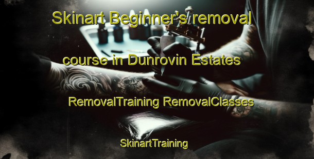 Skinart Beginner's removal course in Dunrovin Estates | #RemovalTraining #RemovalClasses #SkinartTraining-United States