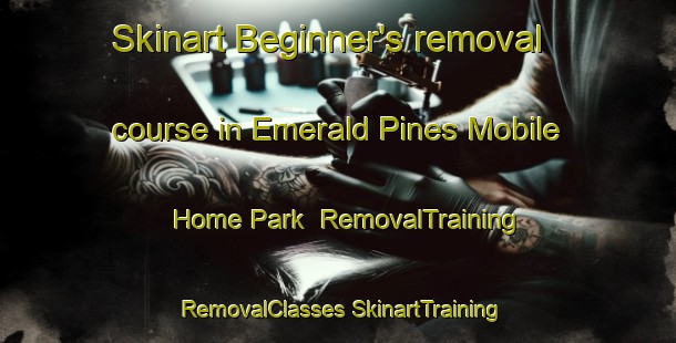 Skinart Beginner's removal course in Emerald Pines Mobile Home Park | #RemovalTraining #RemovalClasses #SkinartTraining-United States