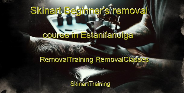 Skinart Beginner's removal course in Estanifanulga | #RemovalTraining #RemovalClasses #SkinartTraining-United States