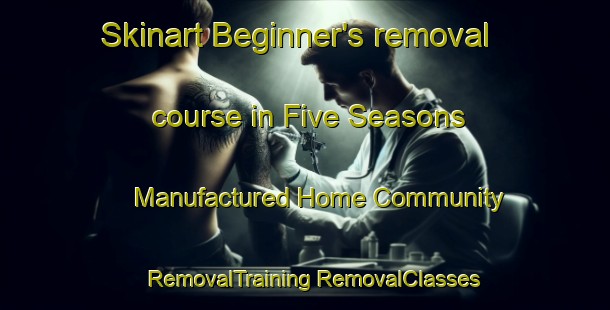 Skinart Beginner's removal course in Five Seasons Manufactured Home Community | #RemovalTraining #RemovalClasses #SkinartTraining-United States