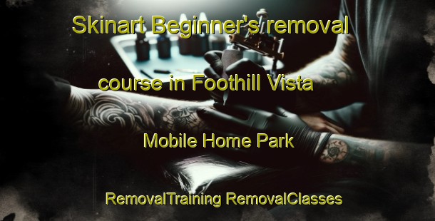 Skinart Beginner's removal course in Foothill Vista Mobile Home Park | #RemovalTraining #RemovalClasses #SkinartTraining-United States