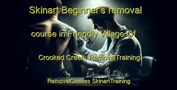 Skinart Beginner's removal course in Friendly Village Of Crooked Creek | #RemovalTraining #RemovalClasses #SkinartTraining-United States