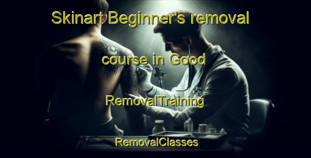 Skinart Beginner's removal course in Good | RemovalTraining | RemovalClasses | SkinartTraining-United States