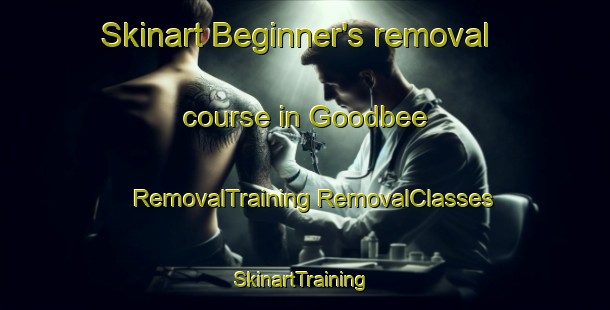 Skinart Beginner's removal course in Goodbee | #RemovalTraining #RemovalClasses #SkinartTraining-United States