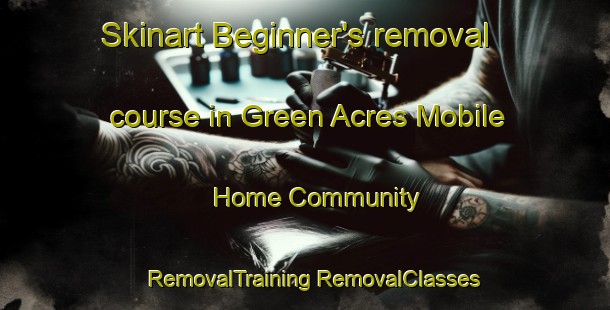 Skinart Beginner's removal course in Green Acres Mobile Home Community | #RemovalTraining #RemovalClasses #SkinartTraining-United States