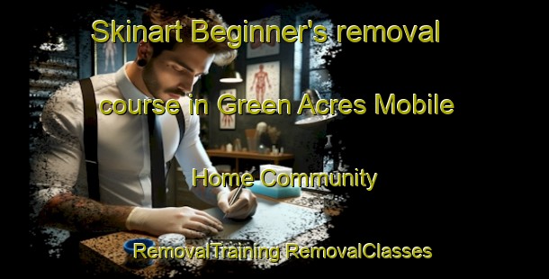 Skinart Beginner's removal course in Green Acres Mobile Home Community | #RemovalTraining #RemovalClasses #SkinartTraining-United States