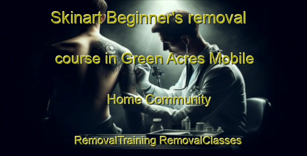 Skinart Beginner's removal course in Green Acres Mobile Home Community | #RemovalTraining #RemovalClasses #SkinartTraining-United States