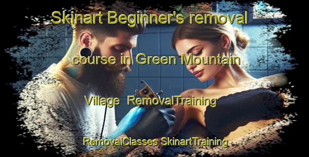 Skinart Beginner's removal course in Green Mountain Village | #RemovalTraining #RemovalClasses #SkinartTraining-United States