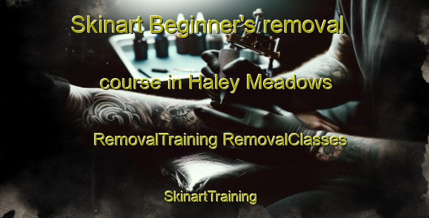 Skinart Beginner's removal course in Haley Meadows | #RemovalTraining #RemovalClasses #SkinartTraining-United States