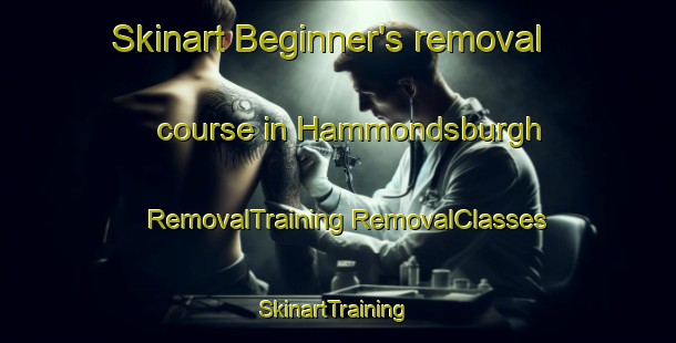 Skinart Beginner's removal course in Hammondsburgh | #RemovalTraining #RemovalClasses #SkinartTraining-United States