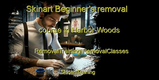 Skinart Beginner's removal course in Harbor Woods | #RemovalTraining #RemovalClasses #SkinartTraining-United States